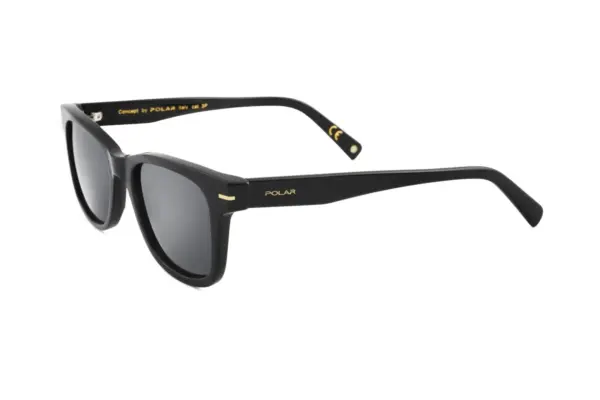 Sunčane naočale Polar Gold
